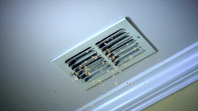 Best Air Duct Cleaning Company Near Me  in Kilgore, TX