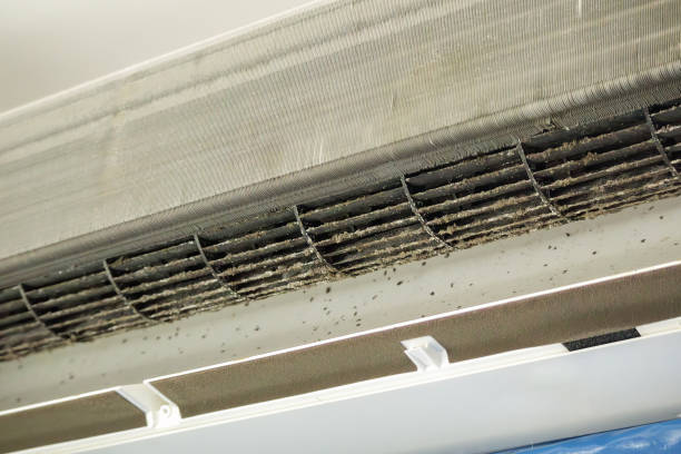 Best Air Duct Cleaning Near Me  in Kilgore, TX